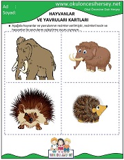 Hayvanlar ve Yavruları Eğitici Kartları